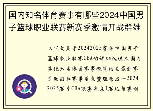 国内知名体育赛事有哪些2024中国男子篮球职业联赛新赛季激情开战群雄逐鹿问鼎巅峰